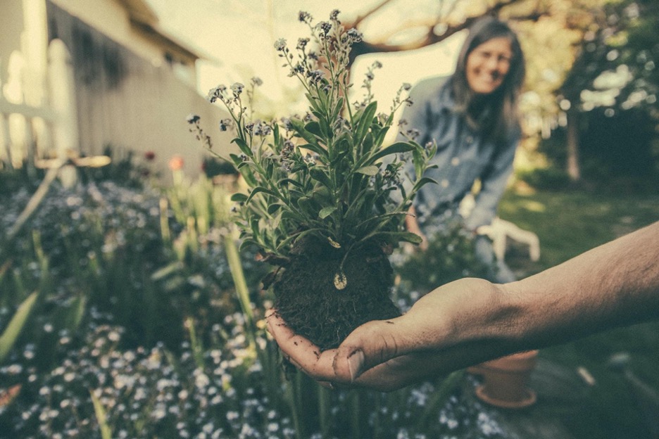 Why Gardening Is Good for Your Soul